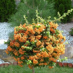 2011-08-24 02.37.47.jpg